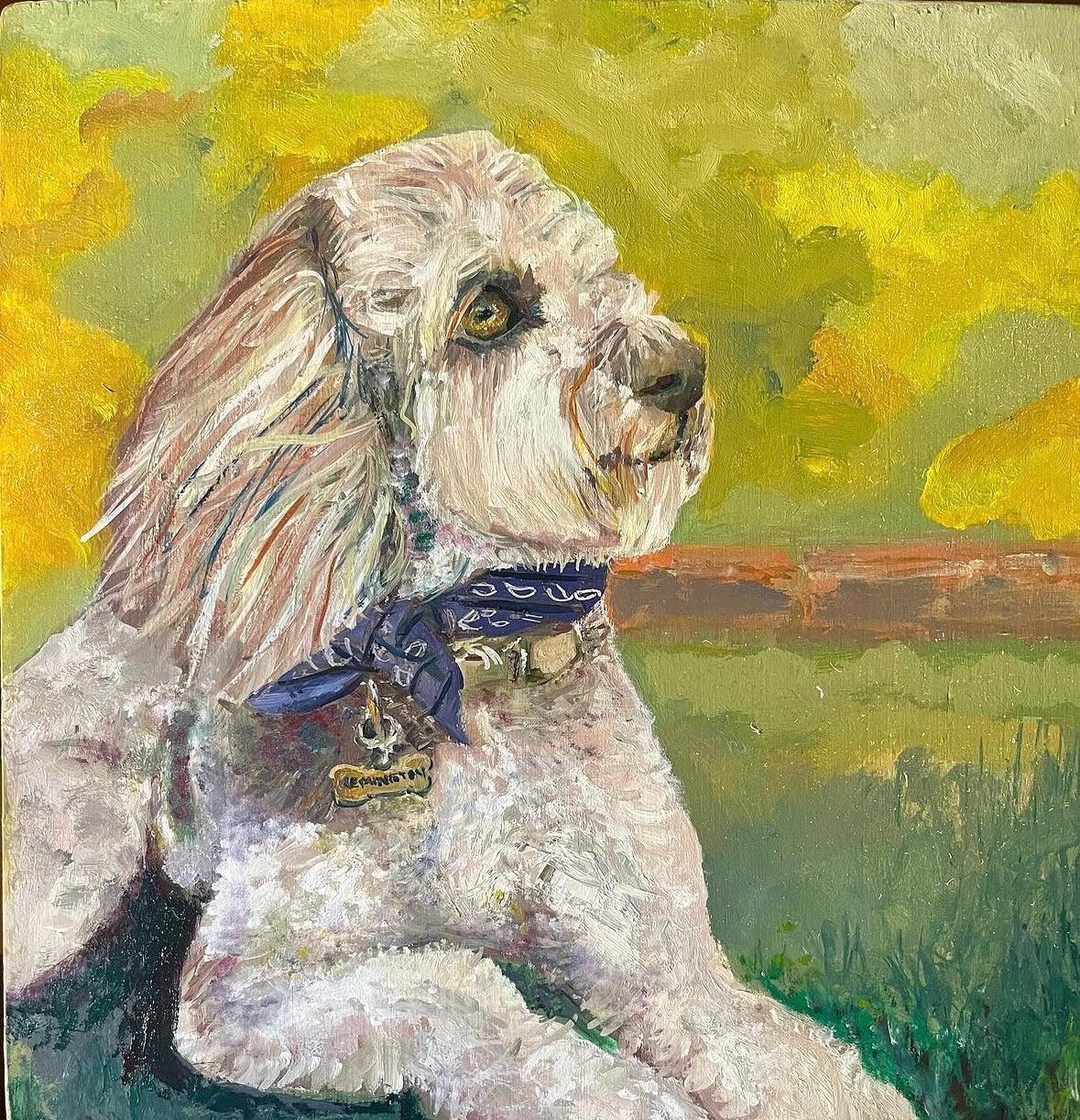 Custom Pet Portrait Commission, 12x12 Oil on Canvas