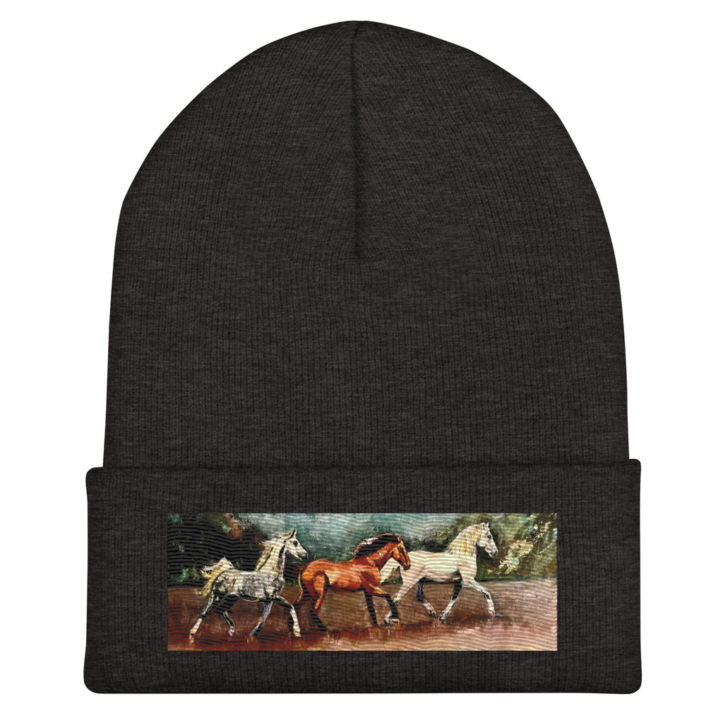 Tranquil Horizon Walk Cuffed Beanie - Dark Grey image